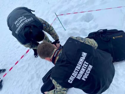 Ещё одна женщина пострадала от падения наледи с крыши дома в Великом Новгороде