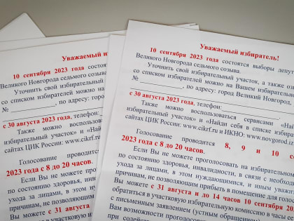 Явка на выборах в Думу Великого Новгорода составила 13,37% по итогам второго дня голосования