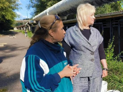 Партийцы привезли очередную партию корма для бездомных животных