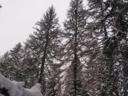 Оценка обоснованности назначения мероприятий.