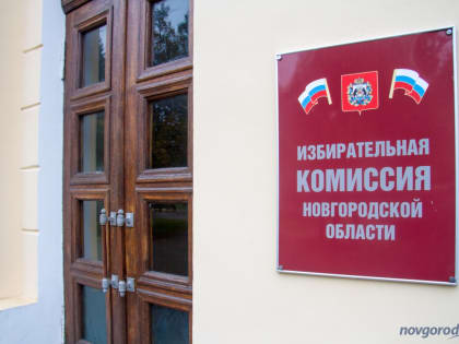 На выборах губернатора Новгородской области проголосовали 26,84% избирателей