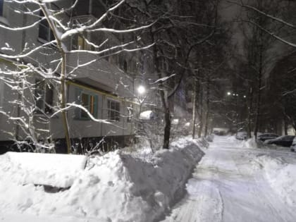 Энергетики восстановили ещё 920 километров линий электропередачи в Новгородской области