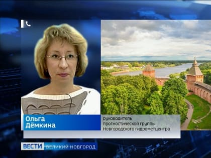 Новгородские синоптики: до конца месяца будет  в основном прохладно и дождливо