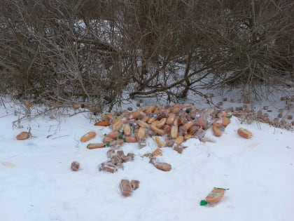 На обочину дороги в Старорусском районе выкинули десятки свежих батонов