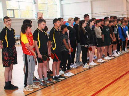 Районные соревнования по настольному теннису