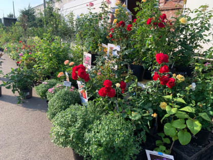 СОСТОЯЛАСЬ УНИВЕРСАЛЬНАЯ ЯРМАРКА «ВЕЛИКОДЕНСКИЕ ГУЛЯНЬЯ В ВАЛДАЕ»