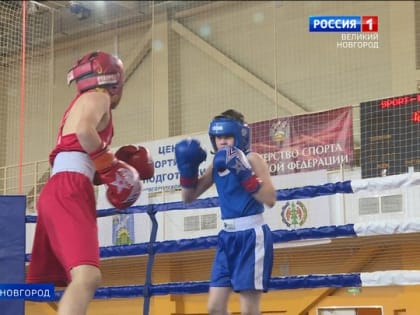 В Великом Новгороде завершился турнир по боксу, посвященный памяти князя Александра Невского