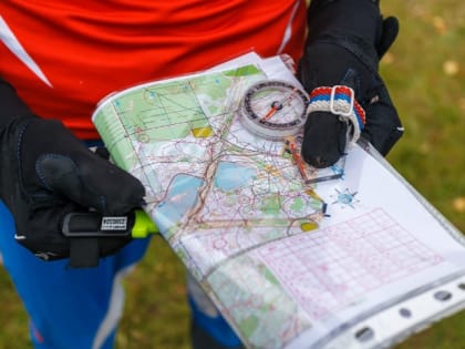 Новгородские ориентировщики взяли четыре награды чемпионата России