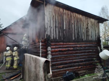 В Хвойной пожарные спасли 10 куриц из горящего курятника