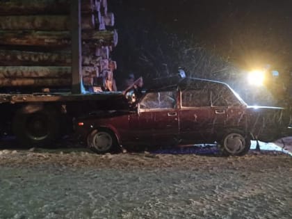 В Шимском районе пассажир автомобиля погиб в ДТП