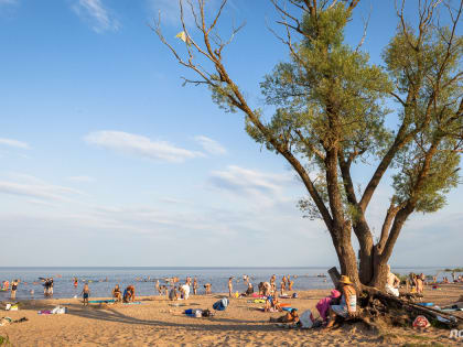 Переменная облачность ожидается в Новгородской области завтра