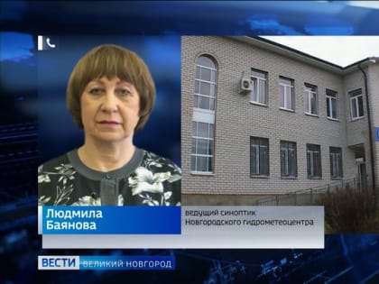 Скандинавский циклон принес в Новгородскую область аномально теплую  погоду