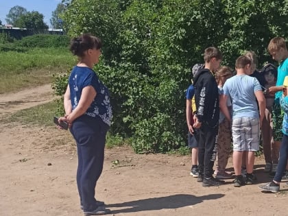 Чудесное лето