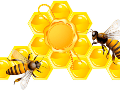 14 августа -МЕДОВЫЙ СПАС