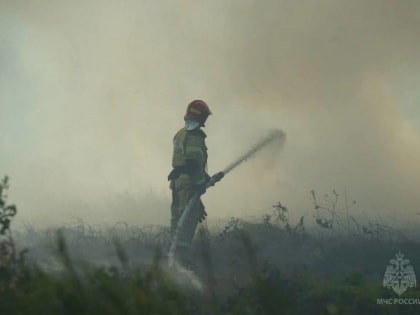 С начала года в Новгородской области зарегистрировано 28 палов травы