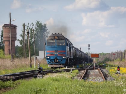 Погрузка на железной дороге в Новгородской области по итогам года снизилась на 1%