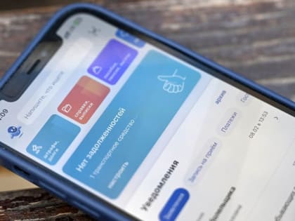 Налоговые уведомления и требования об уплате задолженности по налогам можно получать на ЕПГУ