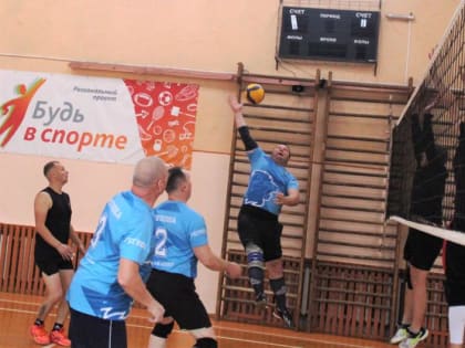 Открытый Чемпионат Любытинского муниципального района по волейболу