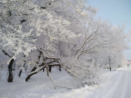 По ночам температура воздуха в Новгородской области может достигать -27 градусов