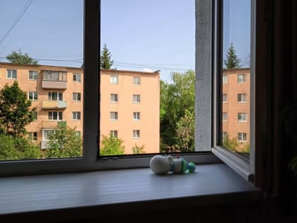 В Великом Новгороде из окна четвёртого этажа выпал 9-летний мальчик