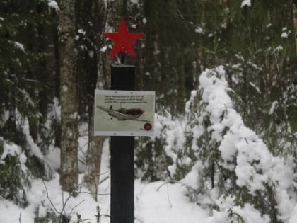 В новгородском лесу на месте гибели самолёта поставлен памятный знак