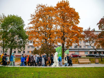 В Великом Новгороде более 500 человек приняли участие во Всероссийском дне ходьбы