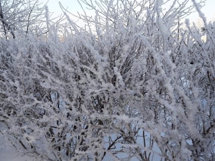 В Великом Новгороде прогнозируют ночное похолодание
