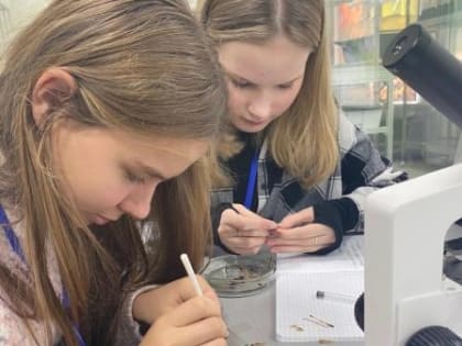 Новые образовательные интенсивы в центре «Онфим»