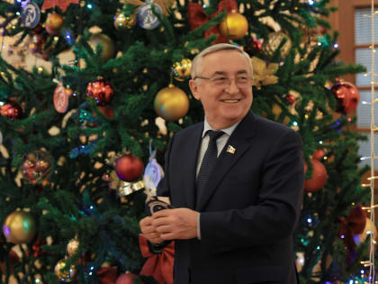 Депутатский корпус традиционно присоединился к Всероссийской благотворительной акции «Ёлка желаний»