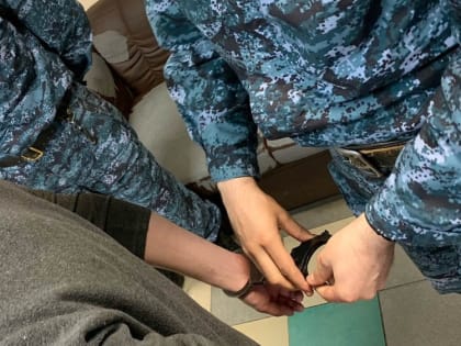 Более сотни новгородцев получили обвинительные приговоры за неуплату алиментов