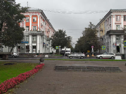 Комиссия по ОБДД единогласно решила сохранить переход на Газоне