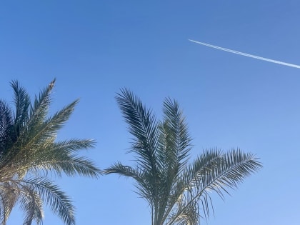 Представители новгородского бизнеса смогут найти новых партнёров в Египте