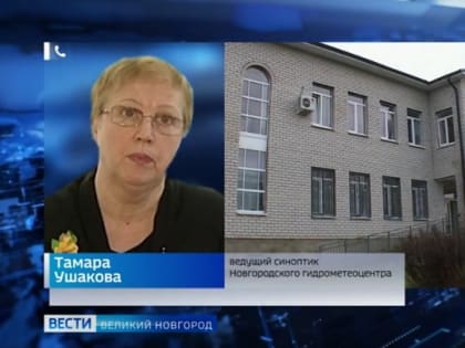 На следующей неделе новгородцев ждет сырая осенняя погода