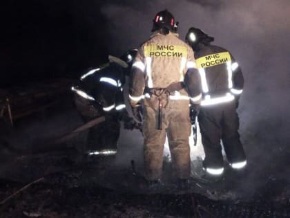 В новгородской глубинке сгорел дом и погиб человек