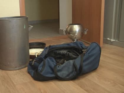 В Великом Новгороде двое приезжих пойдут под суд за серию дачных краж