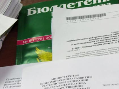 За полгода новгородские приставы привлекли почтальонов к ответственности 12 раз