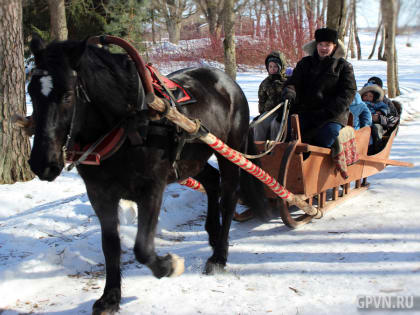 В засыпанных снегом «Витославлицах» устанавливается санный путь