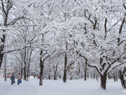 В Новгородской области ожидается сильный снегопад