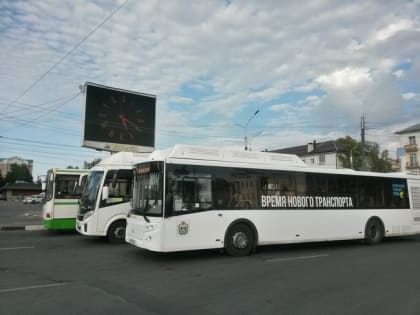 На зарядку становись!