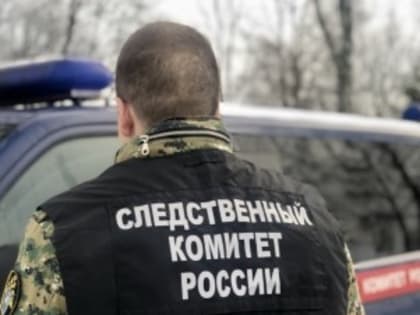 Новгородские следователи проверяют информацию о мальчике, выстрелившем из лука в брата