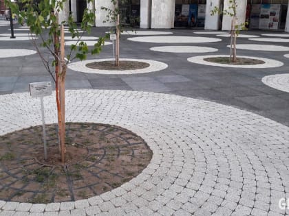 Деревьям у драмтеатра дали имена, чтобы к ним относились уважительнее