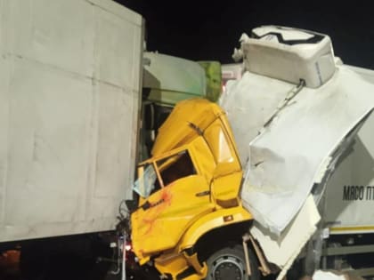 Из-за крупной аварии на М-11 в Маловишерском районе перекрыто движение