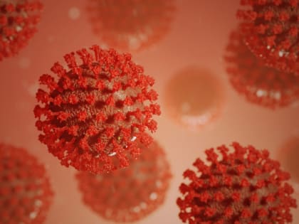 110 новгородцев заразились коронавирусом, один скончался