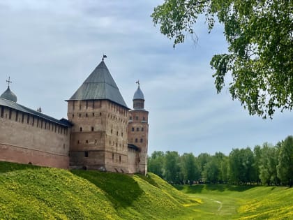 Назван средний возраст населения Новгородской области на 2023 год