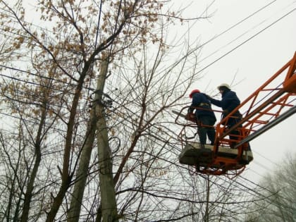 Без электроснабжения в Новгородской области остались более 3,2 тысяч человек