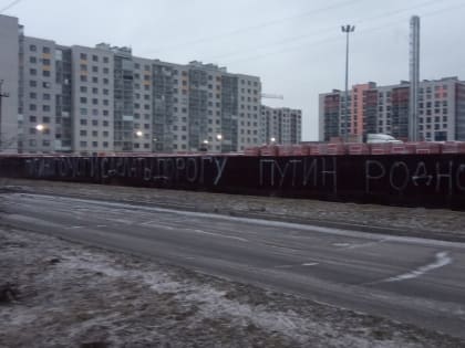 В Великом Новгороде обратились к Путину с помощью надписи на заборе