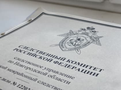 За покушение на убийство сына новгородец приговорен к 6 годам колонии строгого режима