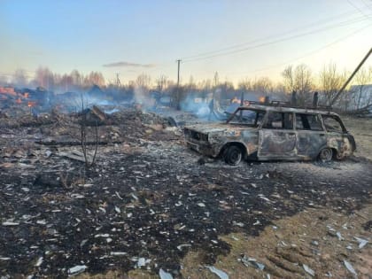 Глава Пестовского района Елена Поварова поделилась фотографиями пожарища в Пикалихе