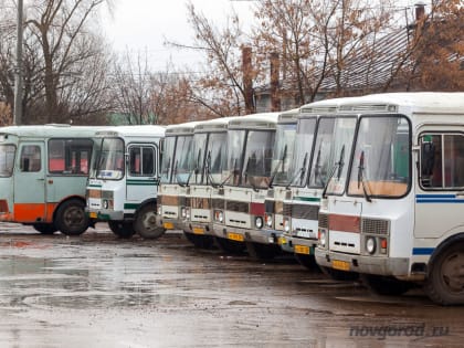 В «Согласии» назвали самый опасный вид общественного транспорта