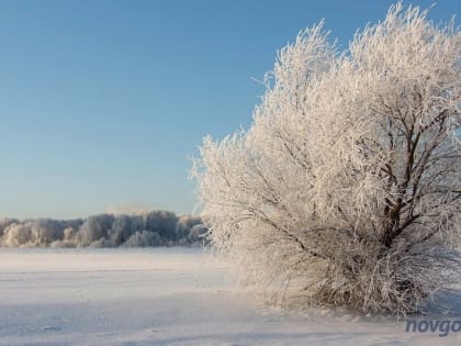 Небольшое похолодание ожидает новгородцев в ближайшие пару ночей